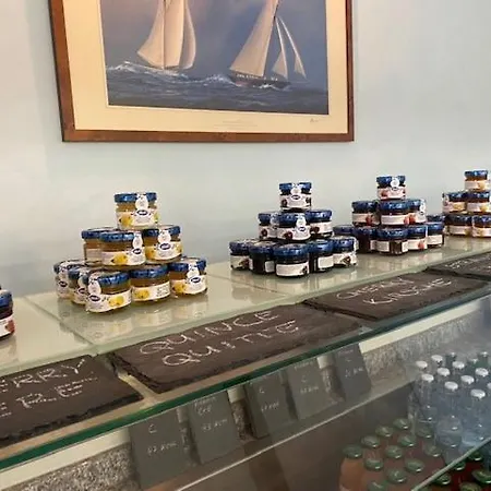 Yachtsport Maggiore Hotel Brissago